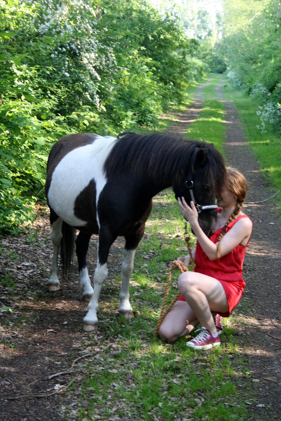 Anden særlig race Rasmus Klump<3 billede 10