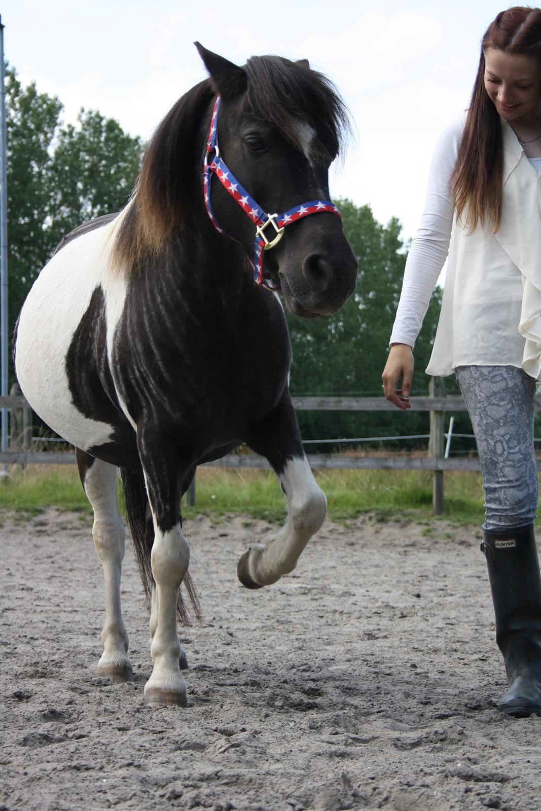 Anden særlig race Rasmus Klump<3 billede 18