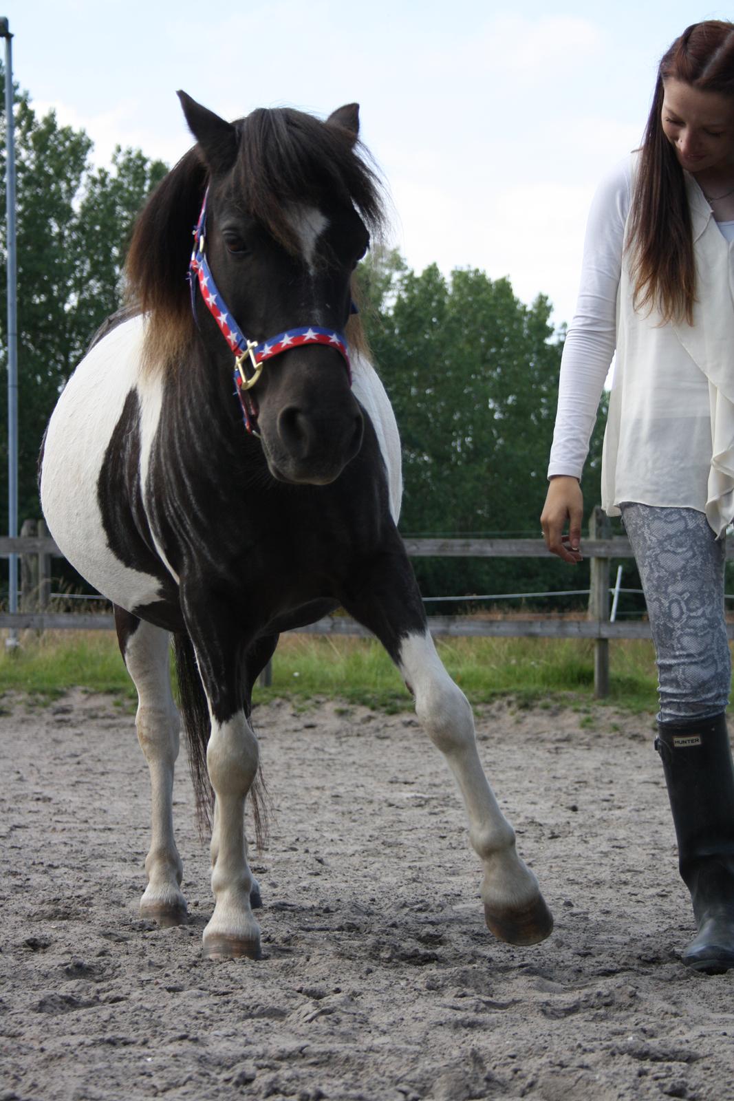 Anden særlig race Rasmus Klump<3 billede 8