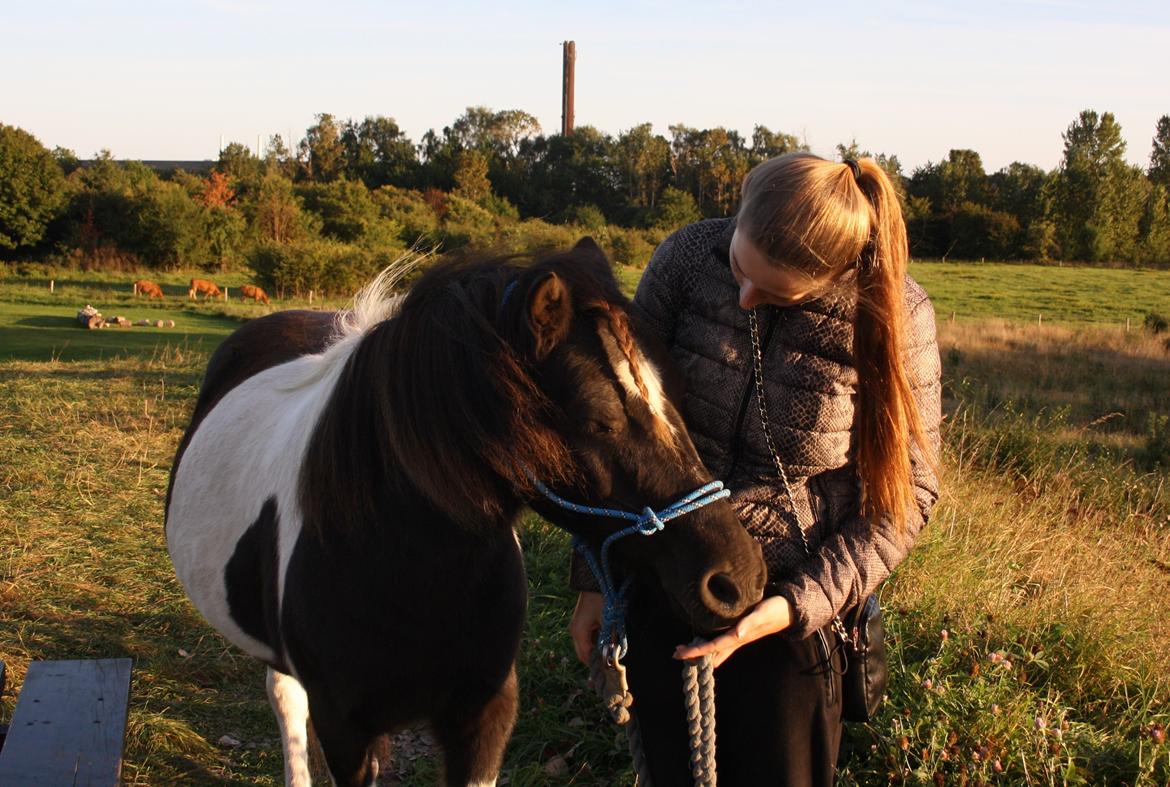 Anden særlig race Rasmus Klump<3 billede 9