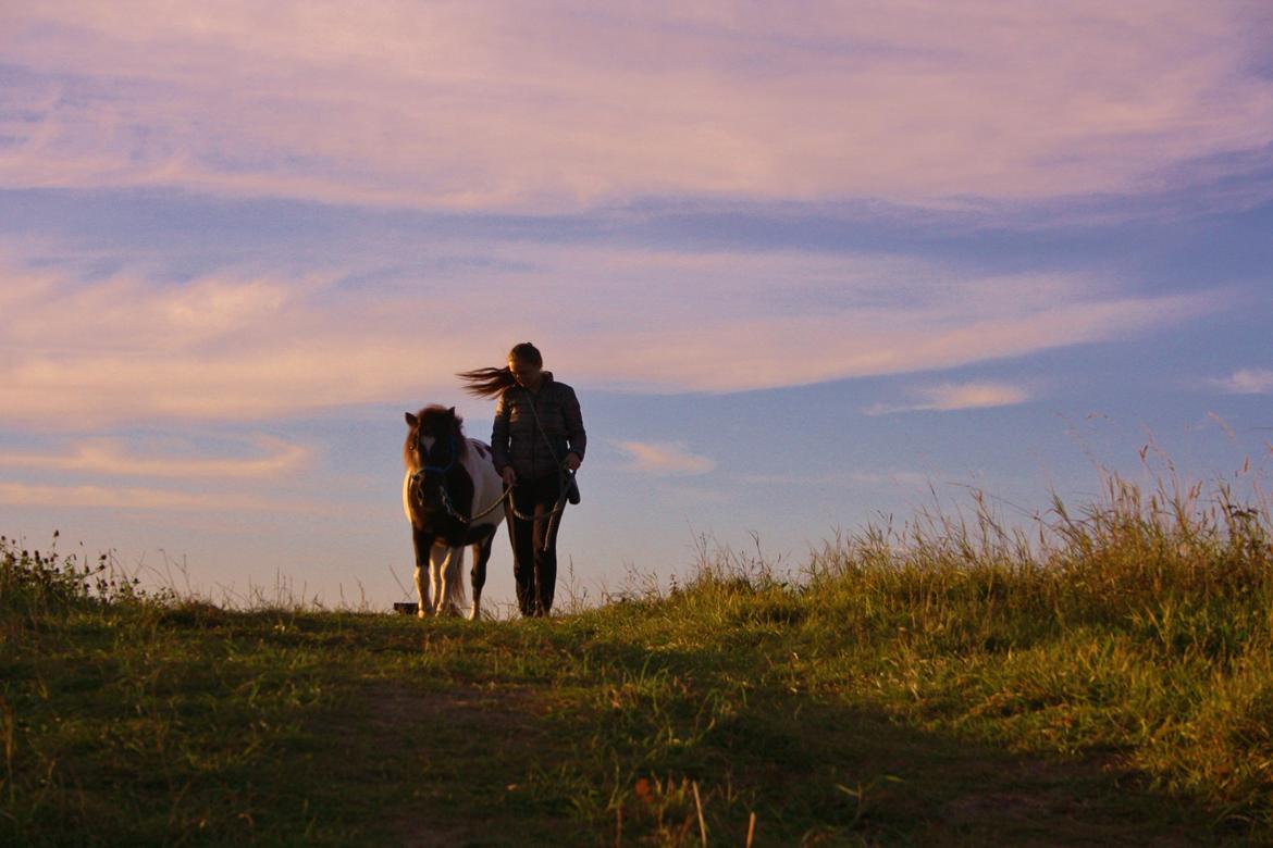 Anden særlig race Rasmus Klump<3 billede 3