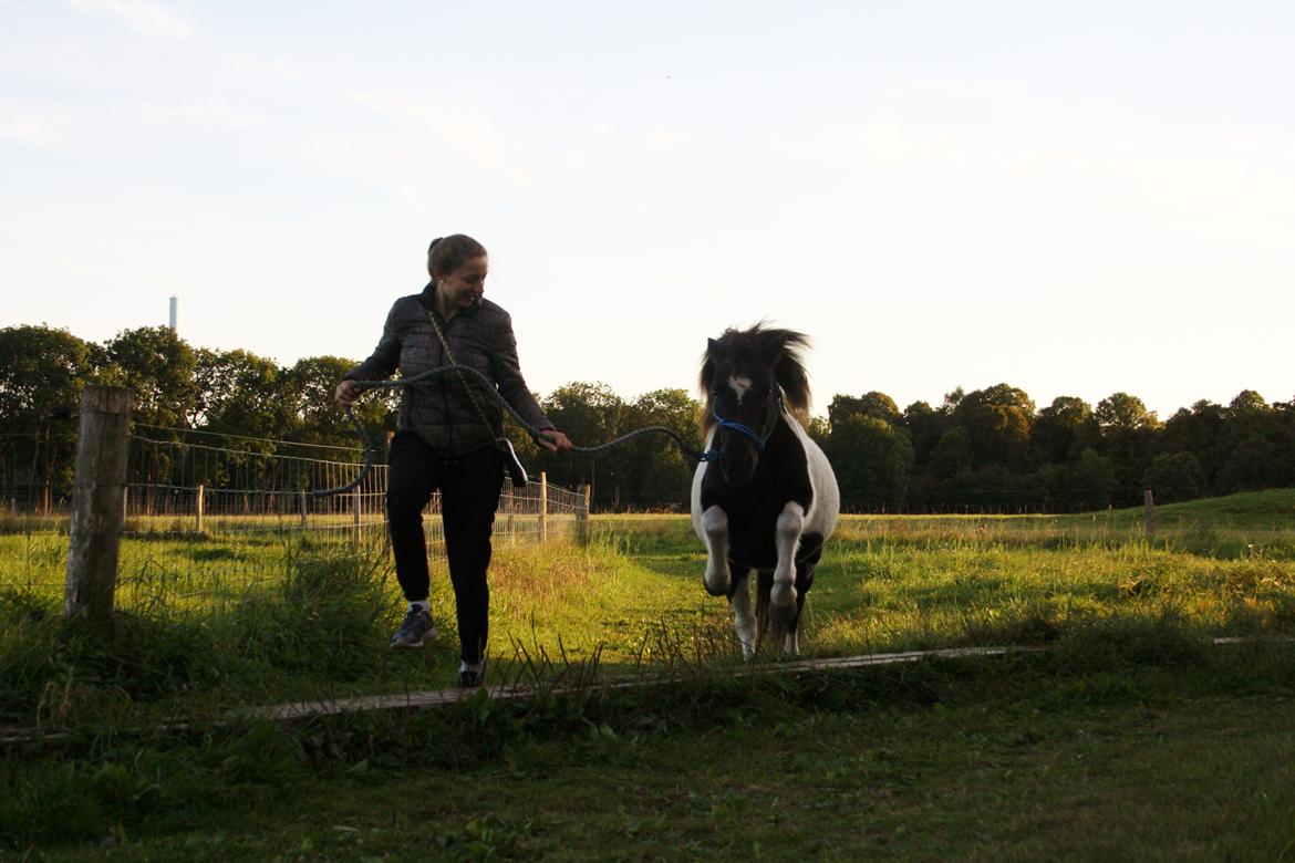 Anden særlig race Rasmus Klump<3 billede 19