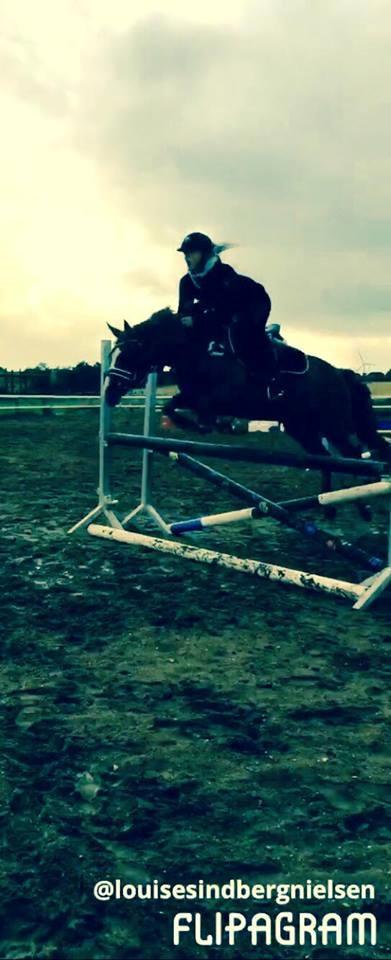 DSP Hindhøjs masja billede 7