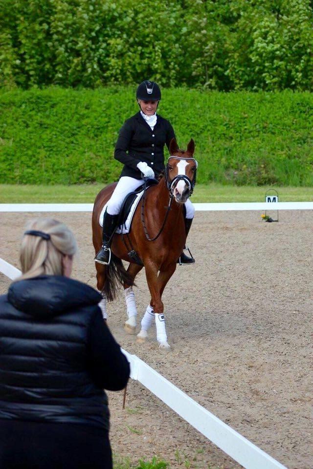 DSP Hindhøjs masja billede 5