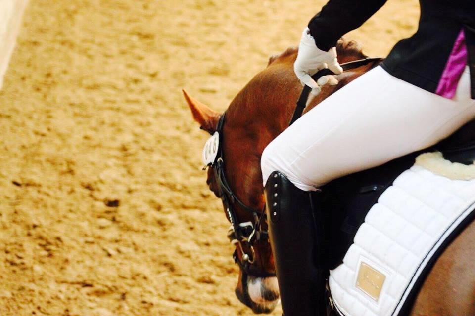 DSP Hindhøjs masja billede 8