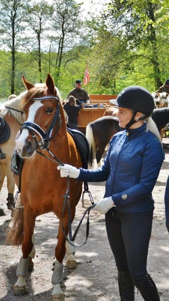 DSP Hindhøjs masja billede 3