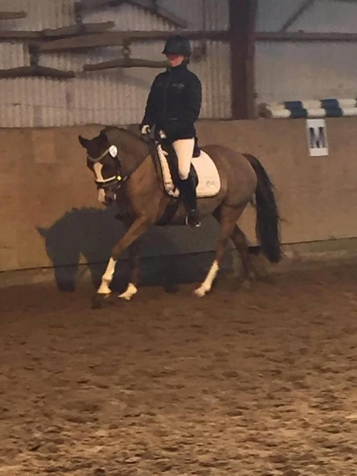 DSP Hindhøjs masja billede 13