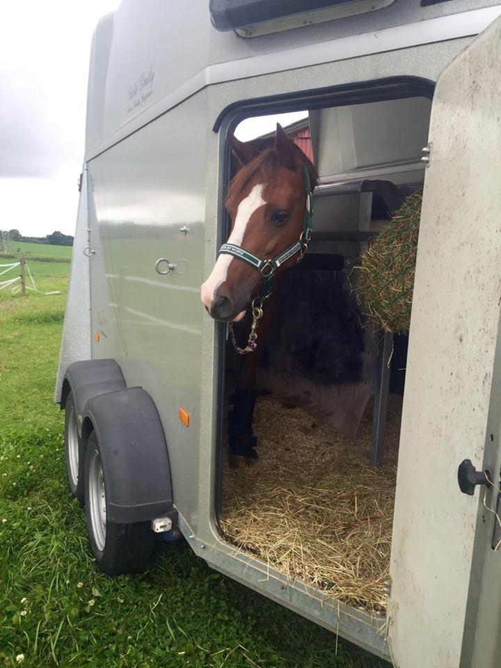 DSP Hindhøjs masja billede 6