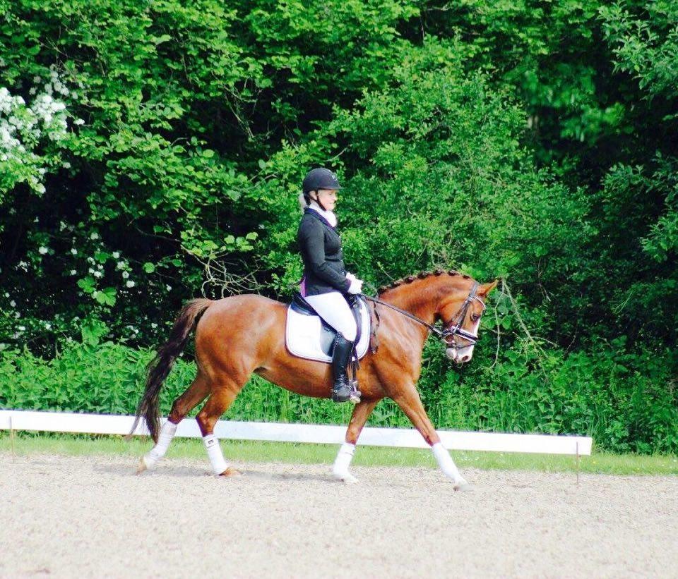 DSP Hindhøjs masja billede 1