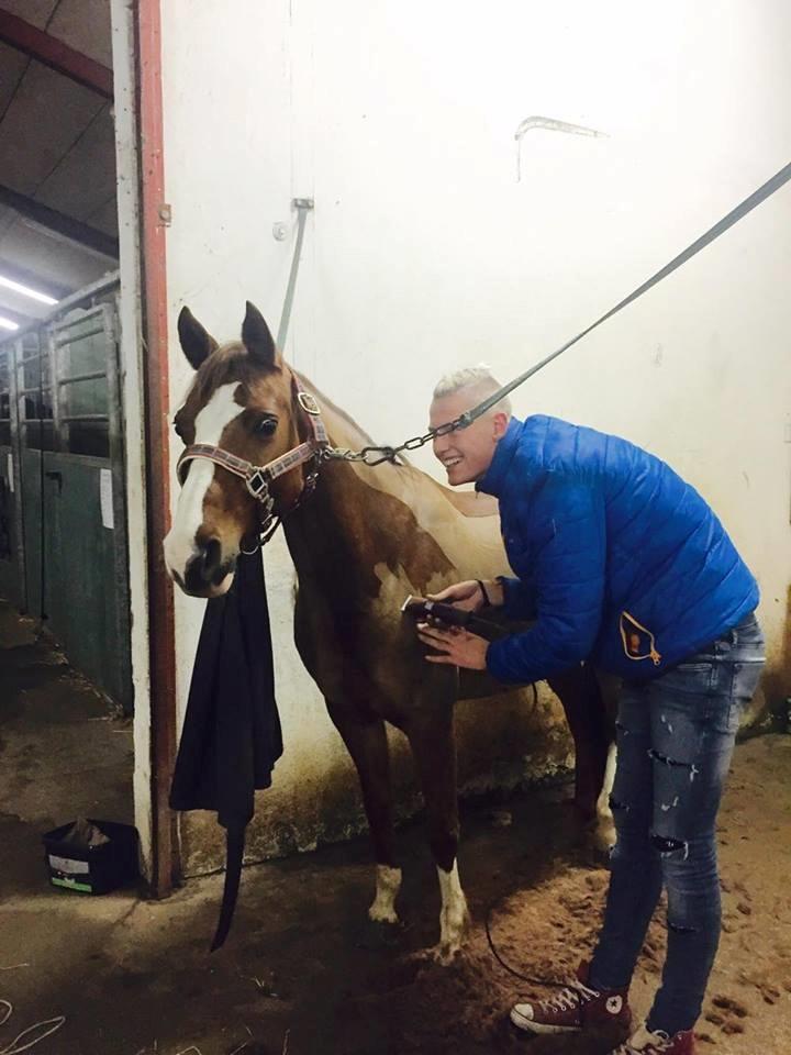 DSP Hindhøjs masja billede 11