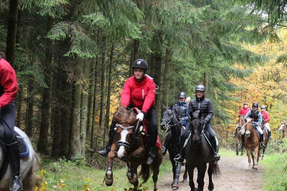 DSP Hindhøjs masja billede 18