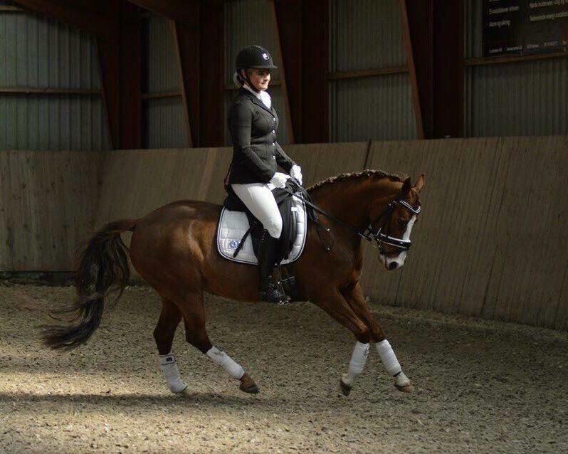 DSP Hindhøjs masja billede 20