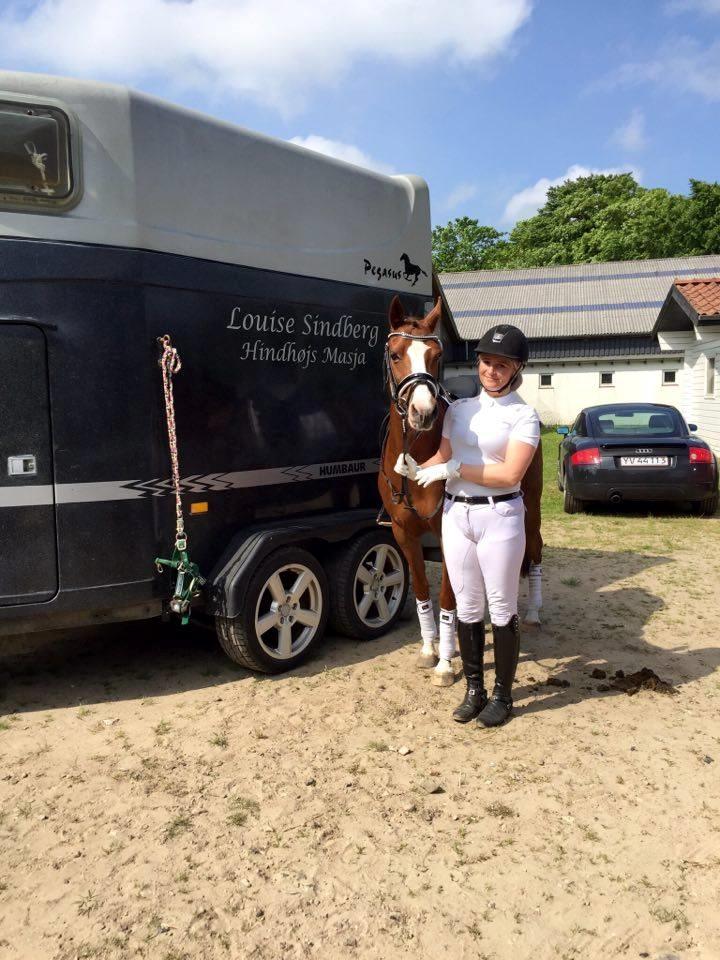 DSP Hindhøjs masja billede 23