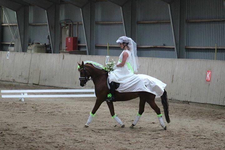 DSP Hindhøjs masja billede 27