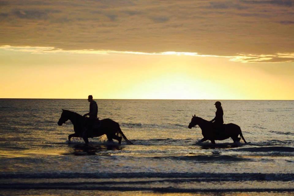 DSP Hindhøjs masja billede 29