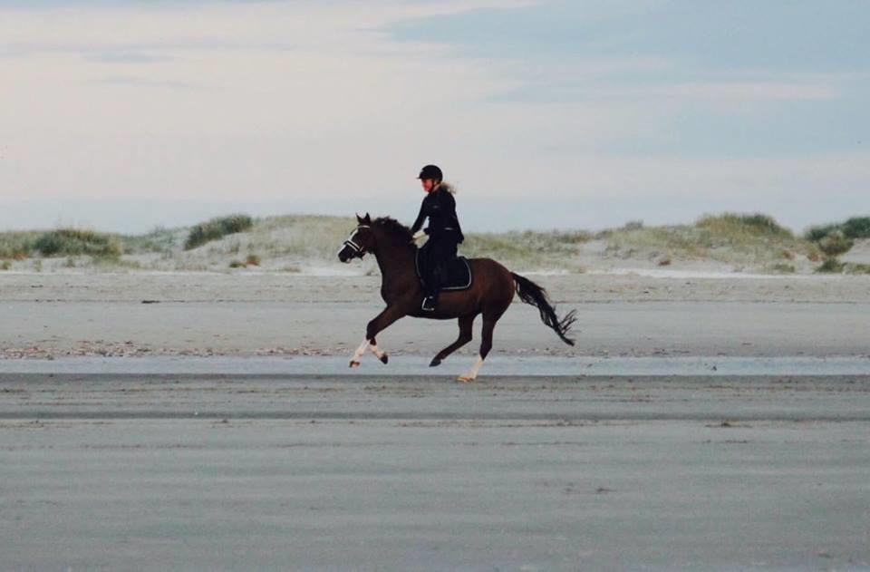 DSP Hindhøjs masja billede 30