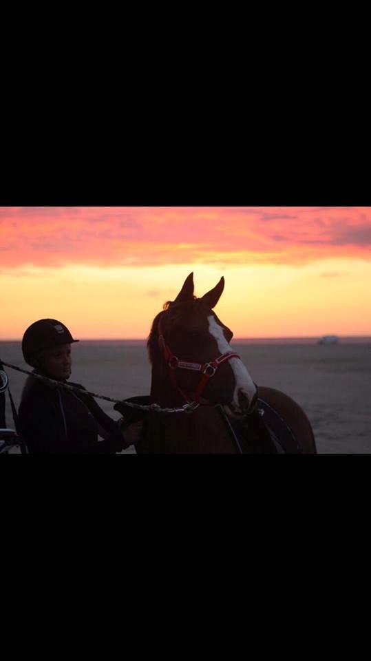 DSP Hindhøjs masja billede 31