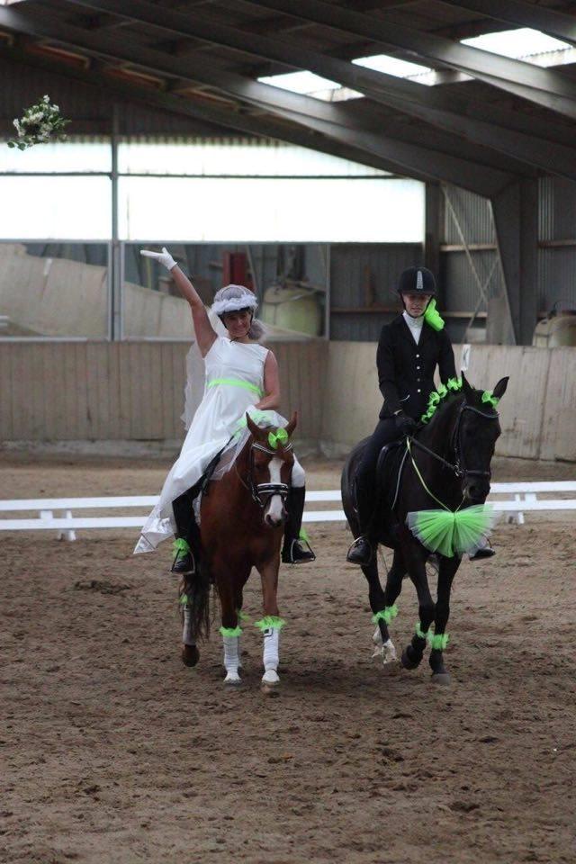 DSP Hindhøjs masja billede 33