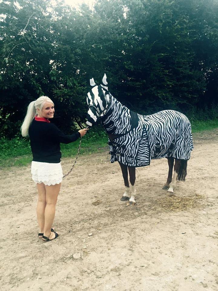 DSP Hindhøjs masja billede 34