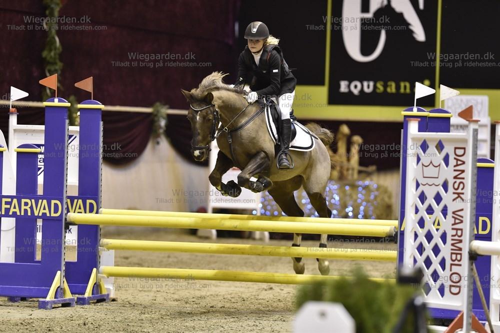 DSP Cæsar  billede 3