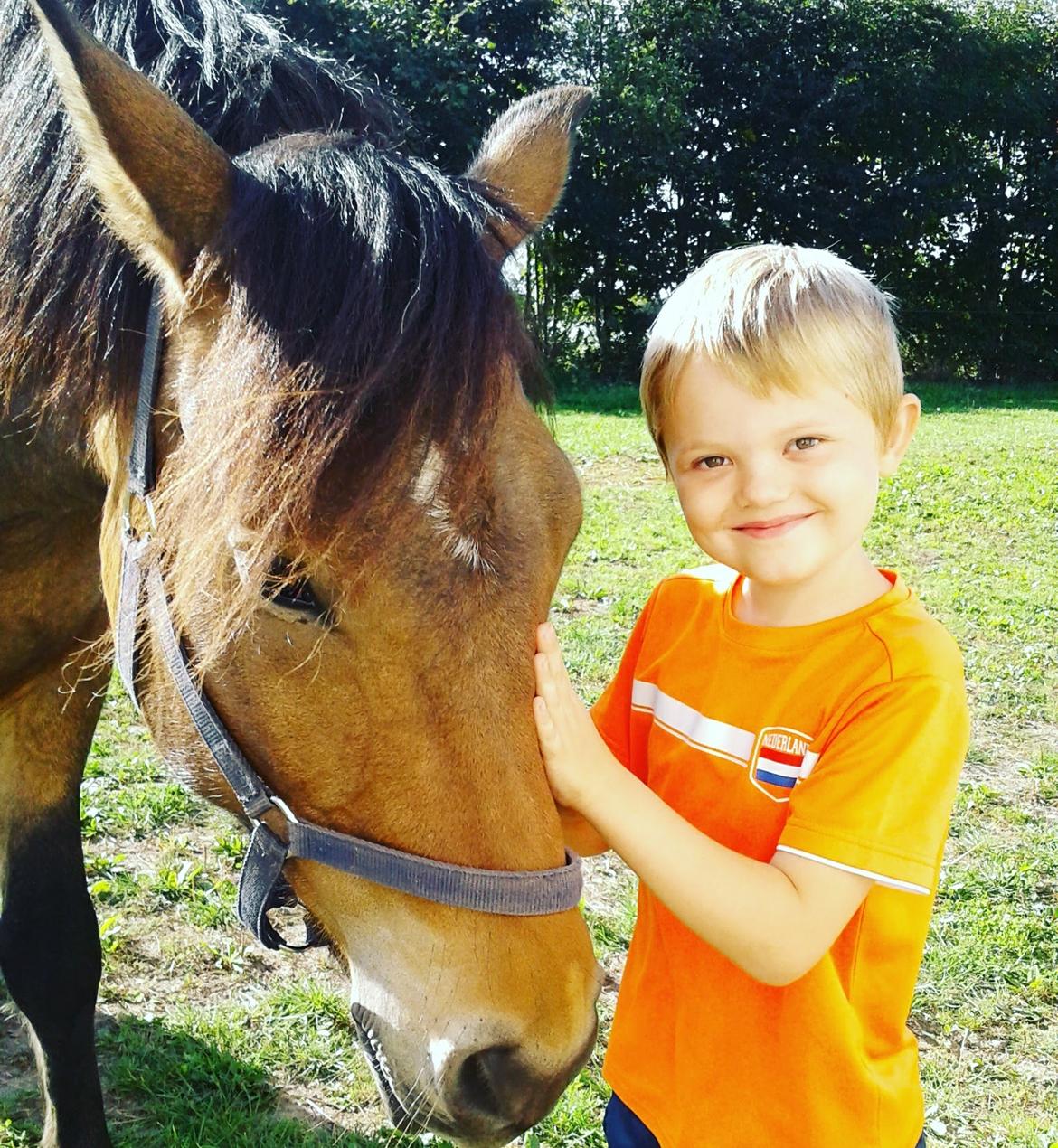 New Forest Kjeldalsgaards Juvel  - To af mine ynglings drenge 5 og 7 år gamle billede 9