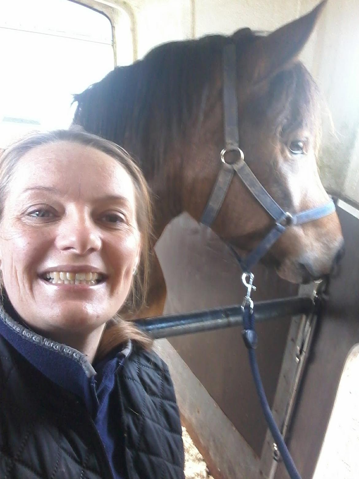 New Forest Kjeldalsgaards Juvel  - Vi øver lidt på trailer læsningen billede 4