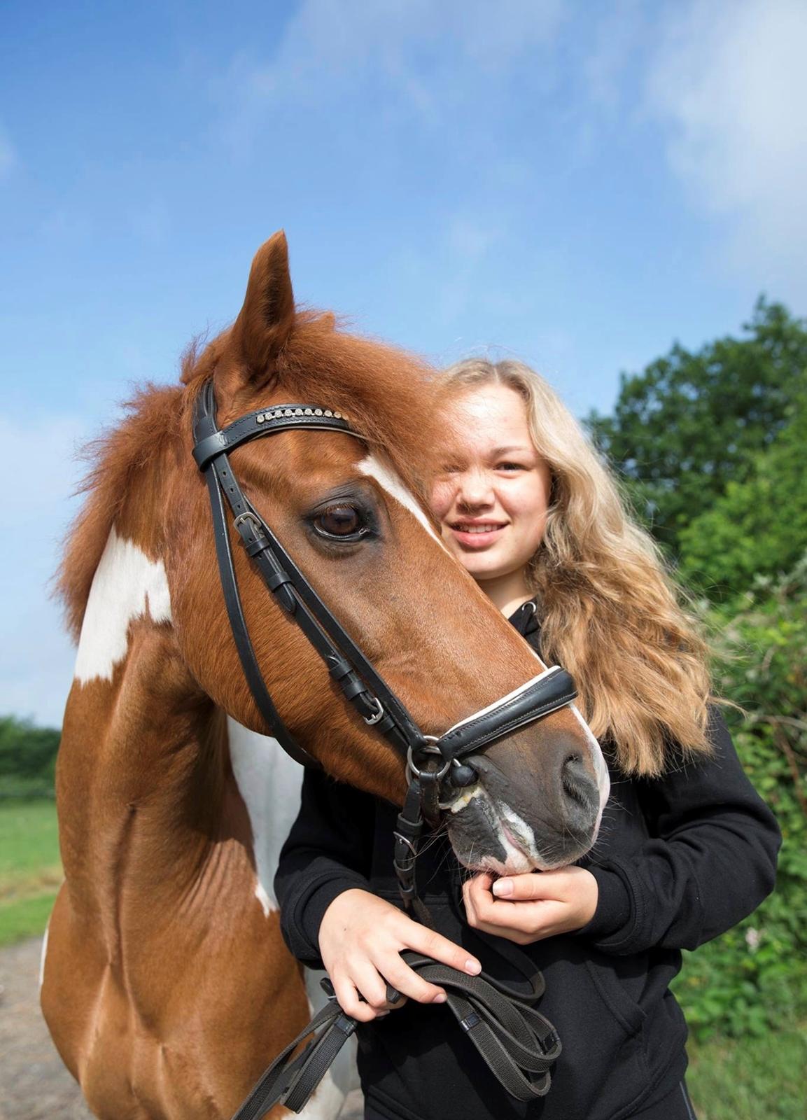 Anden særlig race Hidalgo billede 35