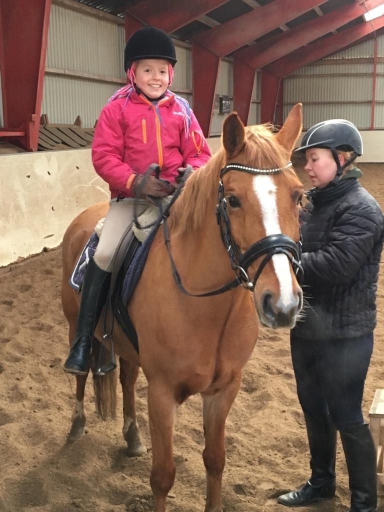 Anden særlig race Bastian (Solgt) - Siljes første tur på Bastian ude ved sælger Per Thybo billede 3