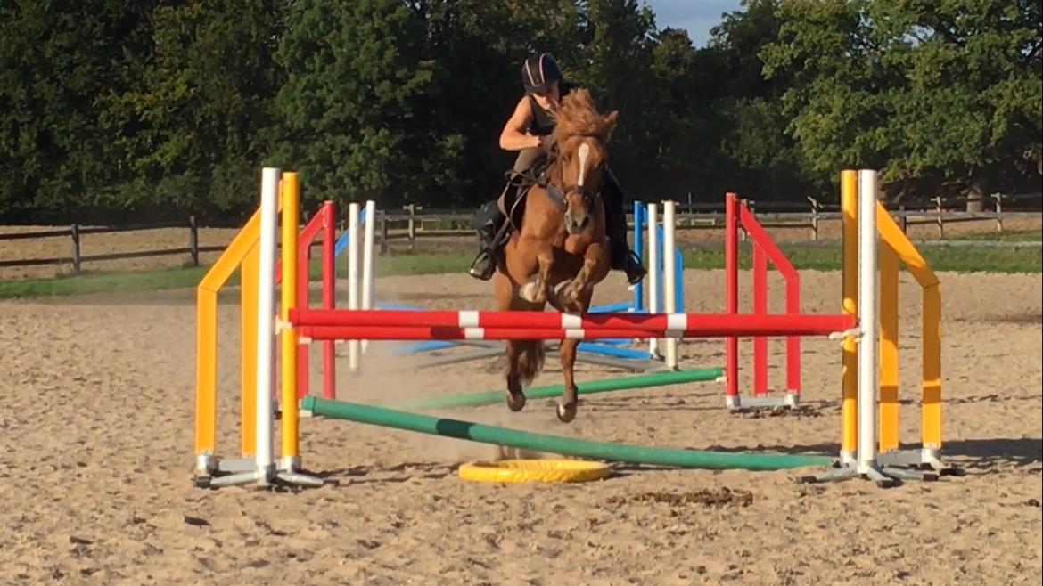 Anden særlig race SkaterGirl billede 5