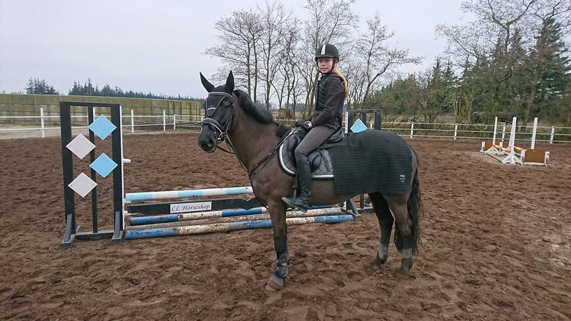 New Forest Mekil - Velkommen til Mekil <3 billede 1