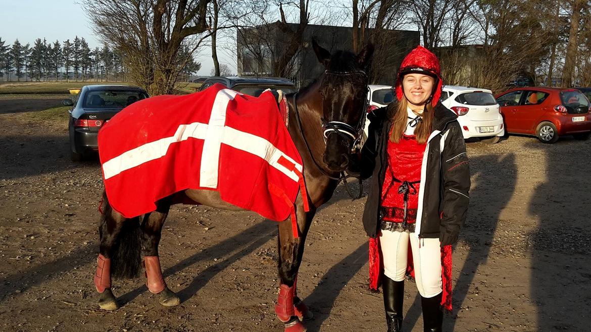 New Forest Mekil - Mekil og sara 2017 dressur stævne på SRR fastelavn Ld2 + Lc1  billede 7