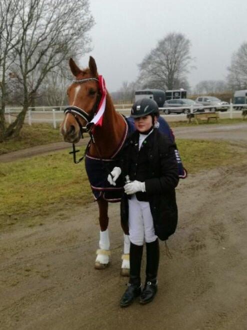 DSP Caesar damgård billede 19