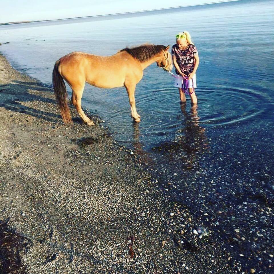 Anden særlig race - Scania † billede 9