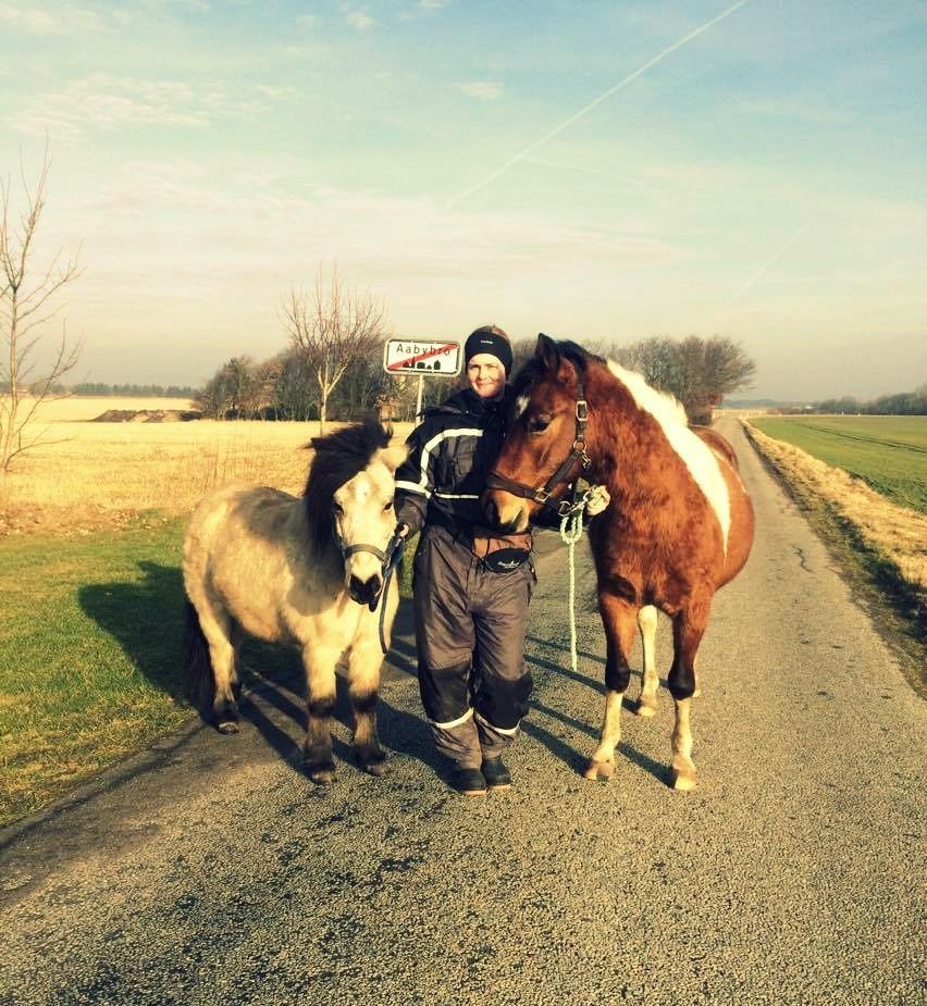 Anden særlig race Joey - Joey og jeg på en lang gåtur, sammen med Freja og Baldur. (omkring 10 km) 2 år og 9 mdr her. d. 28 januar 2017  billede 14