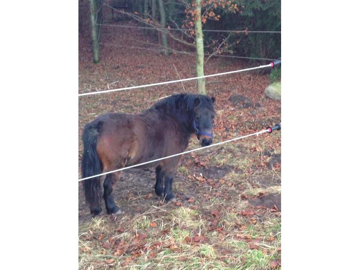 {{currentPhoto.altText}} billede {{currentPhoto.number}}