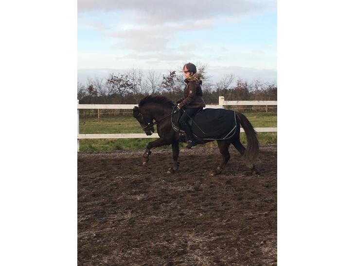 {{currentPhoto.altText}} billede {{currentPhoto.number}}