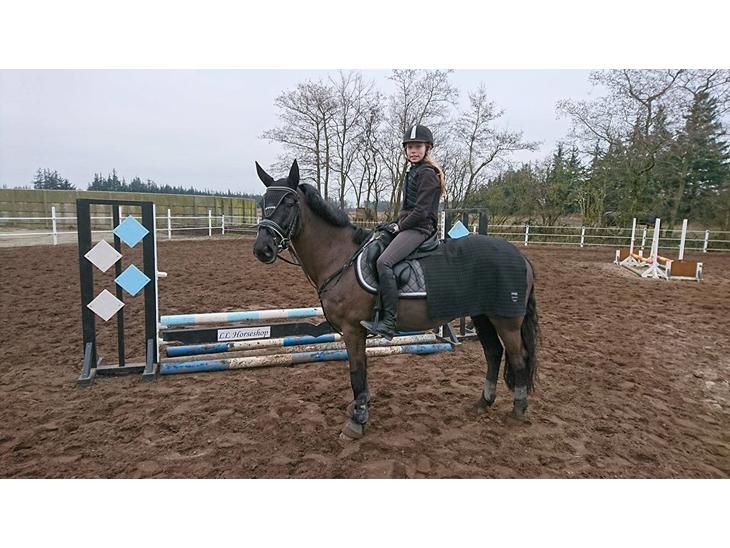 {{currentPhoto.altText}} billede {{currentPhoto.number}}