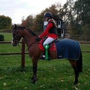 Anden særlig race Madino