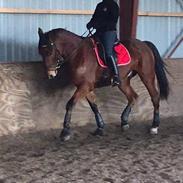 Traver Wonderful Boy