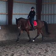 Traver Wonderful Boy