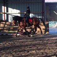 Traver Wonderful Boy