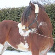 Clydesdale Herkules Enterprise