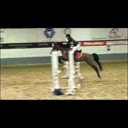 Anden særlig race Skovens maj