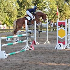 Frederiksborg Skovvanggårdens Bunnie