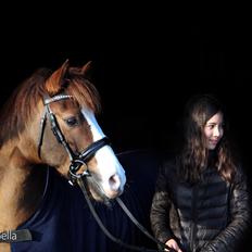 New Forest Nobel suprise