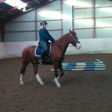 Frederiksborg Hercules Mignon