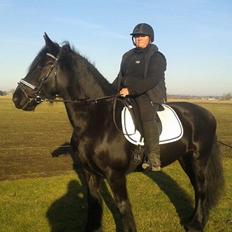 Barockpferd Madonna ( tidligere hest)