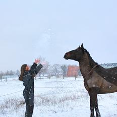 Oldenborg Højskovens Tinto 