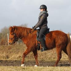 Islænder Hátið fra Klosterheden