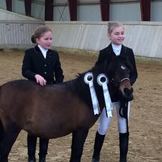 Dansk Miniature BW,S George Girl